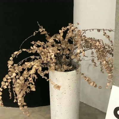 红岗福瑞交流群